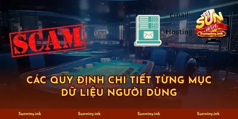 Các quy định chi tiết từng mục dữ liệu người dùng