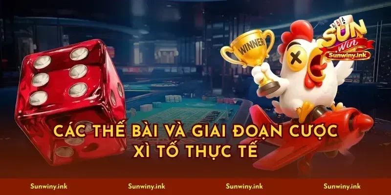 Các thế bài và giai đoạn cược xì tố thực tế